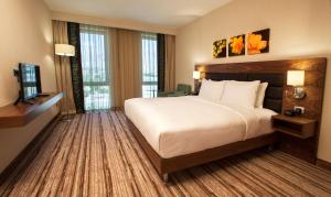 埃尔津詹埃尔津詹希尔顿花园酒店的酒店客房设有一张大床和一台电视。