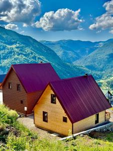 佩奇Hotel Te Liqeni的一座谷仓,其紫色屋顶以群山为背景