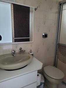 拉热斯Suíte com sala de estar的一间带水槽、卫生间和镜子的浴室