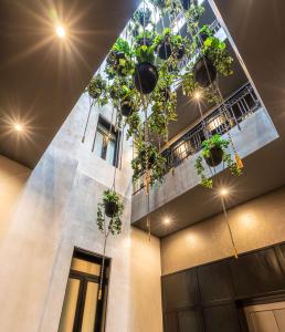 墨西哥城Umbral, Curio Collection By Hilton的天花板上挂着盆栽植物的建筑
