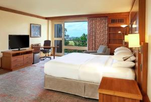 西班牙港特立尼达希尔顿会议酒店 的酒店客房设有一张大床和一台电视。