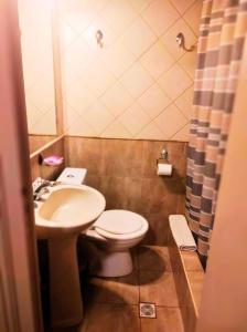 门多萨Hotel Windsor Mendoza的一间带卫生间和水槽的小浴室