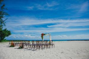 布里奇敦希尔顿巴巴多斯度假酒店 的沙滩上一排椅子和坛