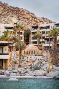 卡波圣卢卡斯Waldorf Astoria Los Cabos Pedregal的享有棕榈树和水景度假村