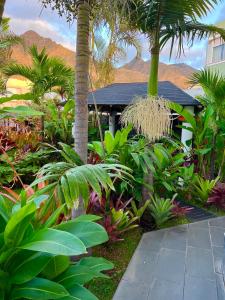 巴哈马尔La SELVITA的一座花园,花园内种有棕榈树和植物,位于一座房子前面