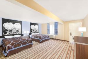 金斯维尔金斯维尔速8汽车旅馆的酒店客房设有两张床和电视。