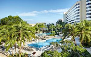 奥兰多奥兰多希尔顿布纳维斯塔酒店 - 迪斯尼泉™区的享有棕榈树游泳池和大楼的顶部景致