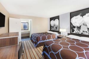 金斯维尔金斯维尔速8汽车旅馆的酒店客房设有两张床和一台平面电视。