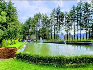 VelascoHotel Jardin Rincon de las Estrellas的公园中央的喷泉池塘