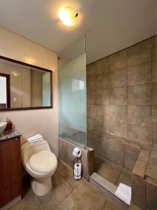 巴尼奥斯Brand new Holiday Villa - 3 bedroom 4 bathroom的一间带卫生间和淋浴的浴室