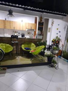拉多拉达Como en casa的一个带椅子的房间和一个植物台面