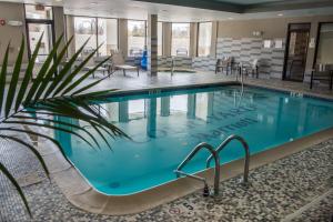 诺维奇诺威治万豪万怡酒店的棕榈树游泳池,位于酒店客房内