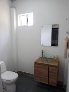 圣罗莎德卡瓦尔Hermosa casa campestre的一间带卫生间和水槽的浴室