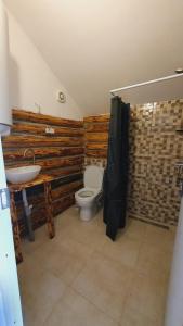 梅斯蒂亚Echoes of the mountains的浴室配有卫生间和水槽。