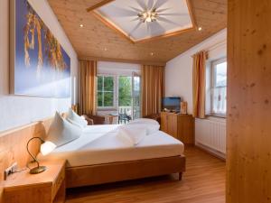 齐勒河谷采尔加拉豪斯公寓酒店的酒店客房设有一张大床和一台电视。