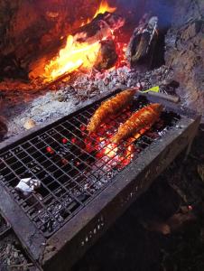 马迪凯里Nature river camp的烤炉烤两香肠