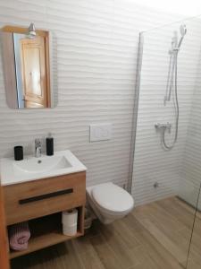 HrvatiniGordia organic winery的浴室配有卫生间、盥洗盆和淋浴。