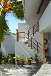 达拉万度Athirige Private Villa Dharavandhoo的盆栽植物房子的楼梯