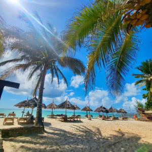 普瓦尼梅查恩加尼Mambo Ocean Resort的海滩上,有椅子和棕榈树,还有大海