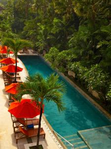 勒吉安Anantara Vacation Club Legian的一个带红色遮阳伞和棕榈树的游泳池