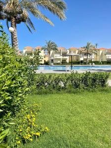 阿莱曼Stella Heights villa - next to Marassi - North coast的一个带游泳池和棕榈树的庭院