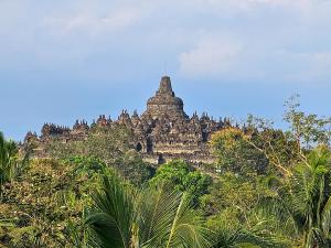 婆罗浮屠Hotel Le Temple Borobudur的一座树冠茂密的山顶上的建筑