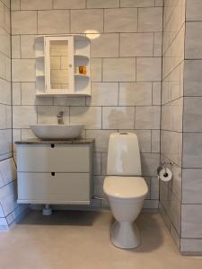 DalsjöforsLägenhet med egen entré i centrala Dalsjöfors的一间带卫生间和水槽的浴室