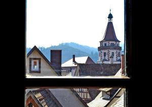 哥根巴赫Ferienwohnung Sester的从带教堂的城镇窗户欣赏美景