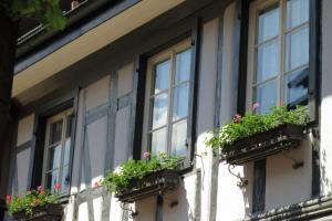哥根巴赫Ferienwohnung Sester的花朵花的建筑的窗户