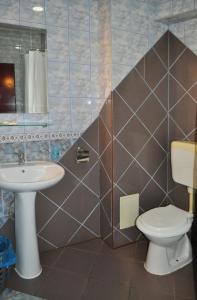 布拉索夫火烈鸟公寓的一间带卫生间和水槽的浴室