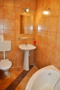 布拉索夫火烈鸟公寓的浴室配有盥洗盆、卫生间和浴缸。