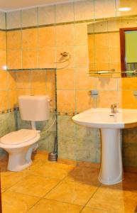 布拉索夫火烈鸟公寓的一间带卫生间和水槽的浴室
