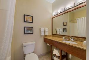 BarnesvilleComfort Inn & Suites Barnesville - Frackville的一间带卫生间、水槽和镜子的浴室