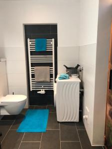 科萨斯Ferienwohnung Mader的浴室设有白色卫生间和蓝色地毯。
