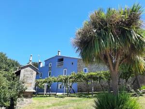 圣徐连代萨利斯As Seis Chemineas的前面有棕榈树的蓝色房子
