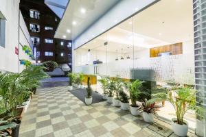 浦那Magnus Square Business Hotel near Pune Airport的楼里种植盆栽的大堂