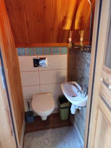 布科维纳-塔钱斯卡Zbójecko Chata的一间带卫生间和水槽的小浴室