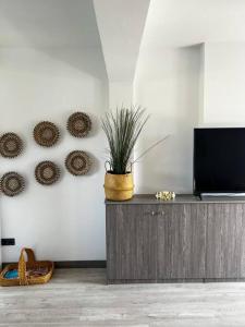 多列毛利诺斯NIEUW: Bello Horizonte, house by the sea的一间带电视和盆栽植物的客厅