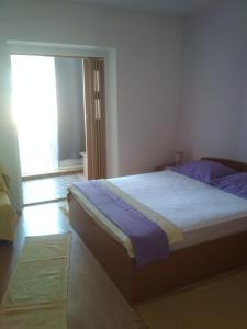 巴什卡沃达Apartmani Carević的一间卧室设有一张床和一个大窗户