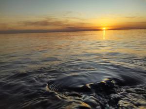 弗赖本托斯APART PELUSA的日落在水面上