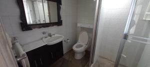 派帕villa concha的一间带卫生间、水槽和镜子的浴室