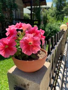 乔克-塔尔Коттедж Иссык-Куль солнышко VIP 2的围栏上一盆粉红色的花