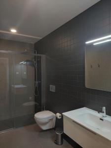 洛萨OH Studios Lousã的浴室配有卫生间、盥洗盆和淋浴。