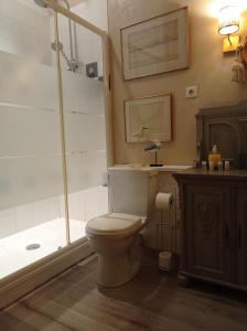 孔东Le Château de Roquebère的一间带卫生间和淋浴的浴室