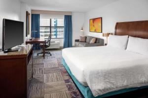 亚特兰大亚特兰大周界中心希尔顿花园酒店的配有一张床和一台平面电视的酒店客房