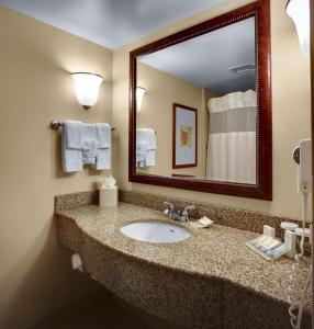 北坎顿阿克伦希尔顿花园酒店-坎顿机场的一间带水槽和大镜子的浴室