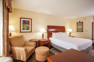 埃尔帕索Hilton Garden Inn El Paso University的配有一张床和一把椅子的酒店客房
