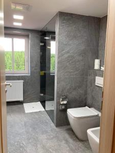 WeissbachHorská chata Smědava的浴室配有卫生间、淋浴和盥洗盆。