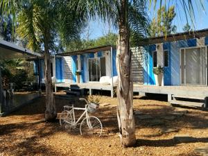 特玛斯德戴曼Squania Suite Container & Monoambientes的两棵棕榈树旁的蓝色房子,有一辆自行车停放