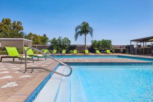 肯纳新奥尔良机场希尔顿逸林酒店的一个带绿色椅子和棕榈树的游泳池